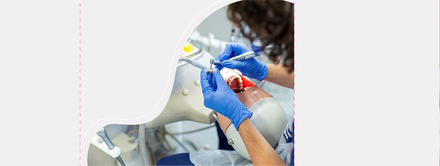 Public Health And Academia Support Hero A dentist working on a training manikin
